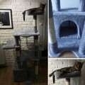 Duży drapak dla kota 145 cm – 6 poziomów, legowisko, budka, stabilny – szary