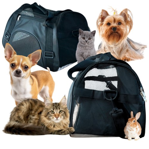 Torba transportowa Todi 48×23×27 cm – lekka i wytrzymała torba do transportu