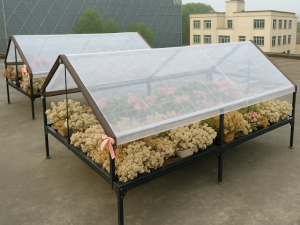 PLANDEKA PRZEZROCZYSTA 2x5m 210g/m2 [PLANDEKA3]