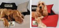 Legowisko dla psa kojec KINGDOG 75x65 cm personalizowane wodoodporne jasnoszare