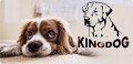 Legowisko dla psa kojec KINGDOG 75x65 cm personalizowane wodoodporne jasnoszare