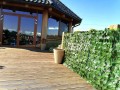 Sztuczny Bluszcz Mata Osłonowa Balkon Taras 150x250 cm UV