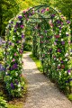 Pergola Ogrodowa 230 cm Stelaż Pod Róże Pnącza Metalowa