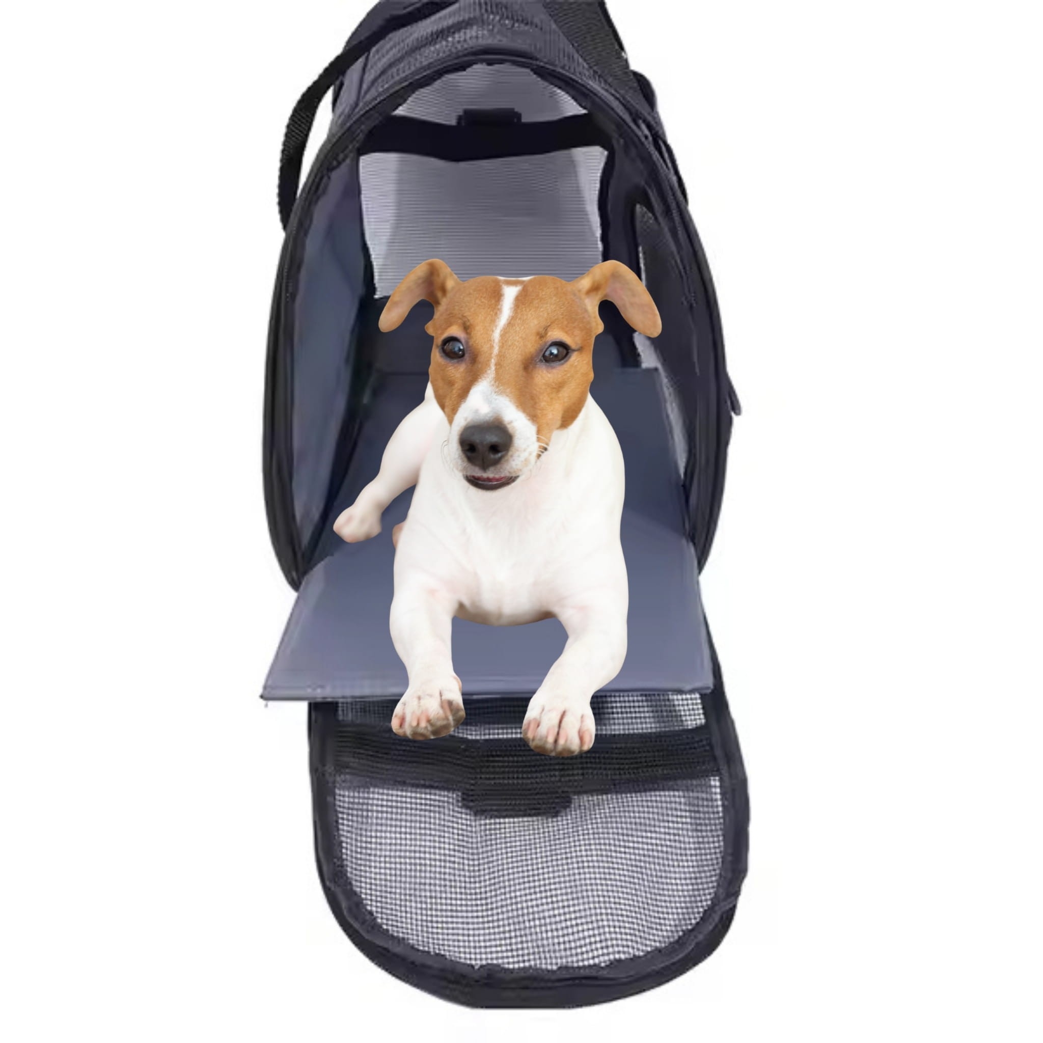 Torba transportowa Todi 48×23×27 cm – lekka i wytrzymała torba do transportu