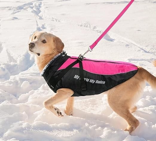 TAGLORY dog clothing, dog coat, dog jacket